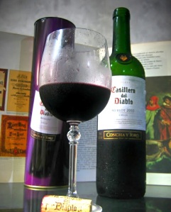 Notare nella foto che il vino sembra molto freddo (“blasfemia”... per un buon vino rosso italiano... e con dietro un libro, che rimanda a storie e racconti)